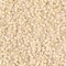 Miyuki Delica Bead 11/0, DB0883, Matte Opaque Dark Cream AB, 5 grams